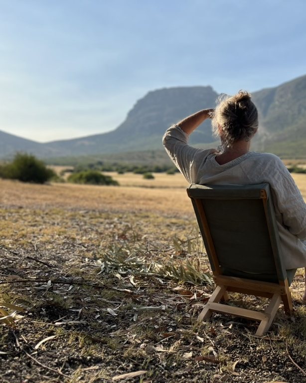Beech folding chair with olive canvas in a garden